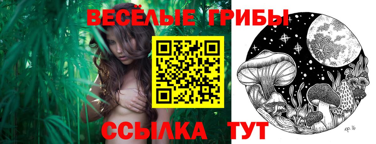Псилоцибиновые грибы GOLDEN TEACHER  Галлюциногенные грибы Cubensis  Ипатово  Вход с VPN 